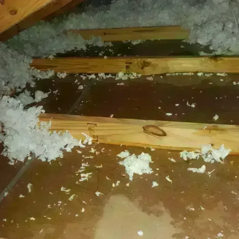 Attic Water Damage in Pierson, FL