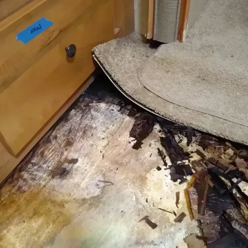 Wood Floor Water Damage in Pierson, FL